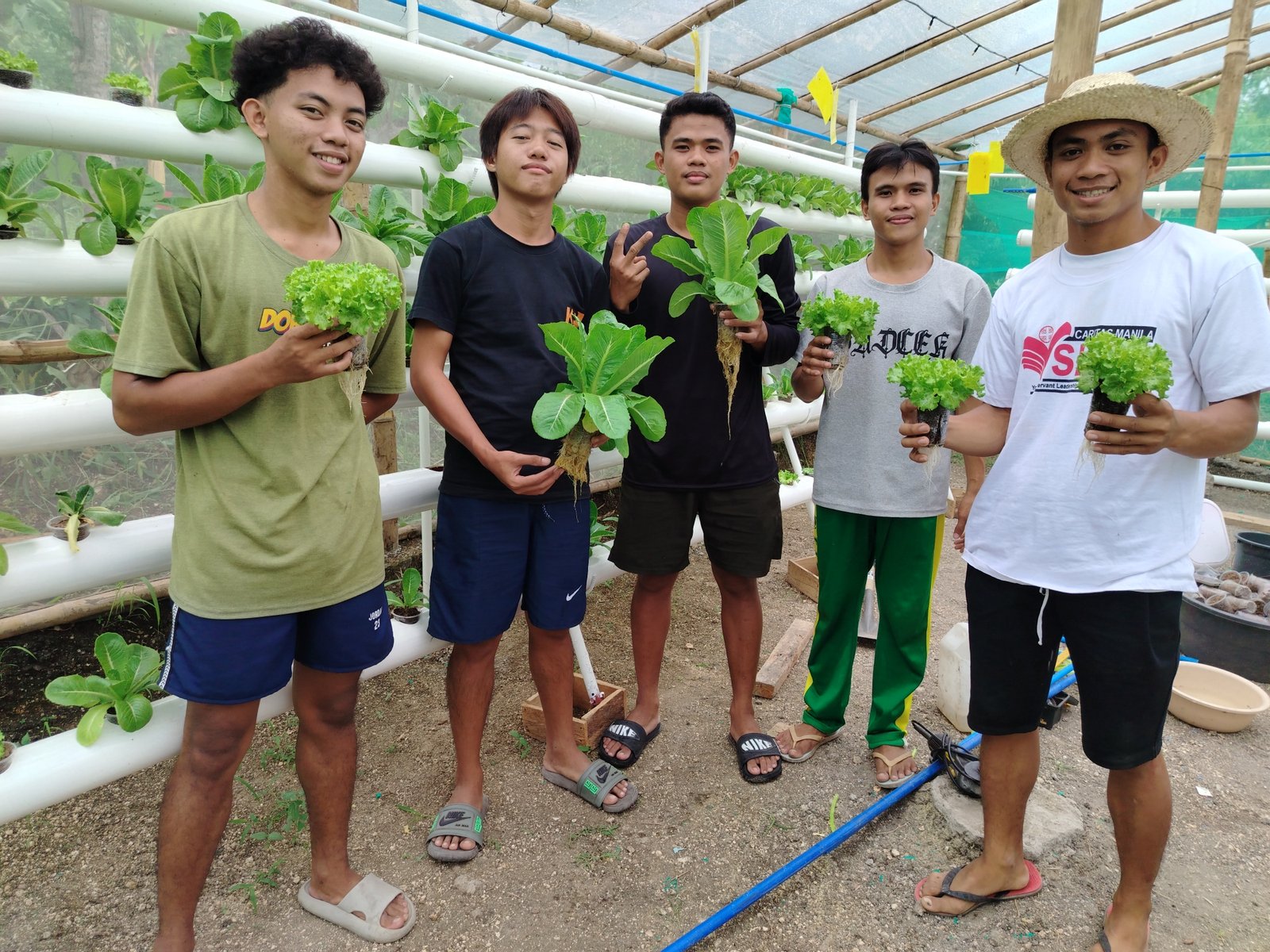 Freshly harvested vegetables from the farm